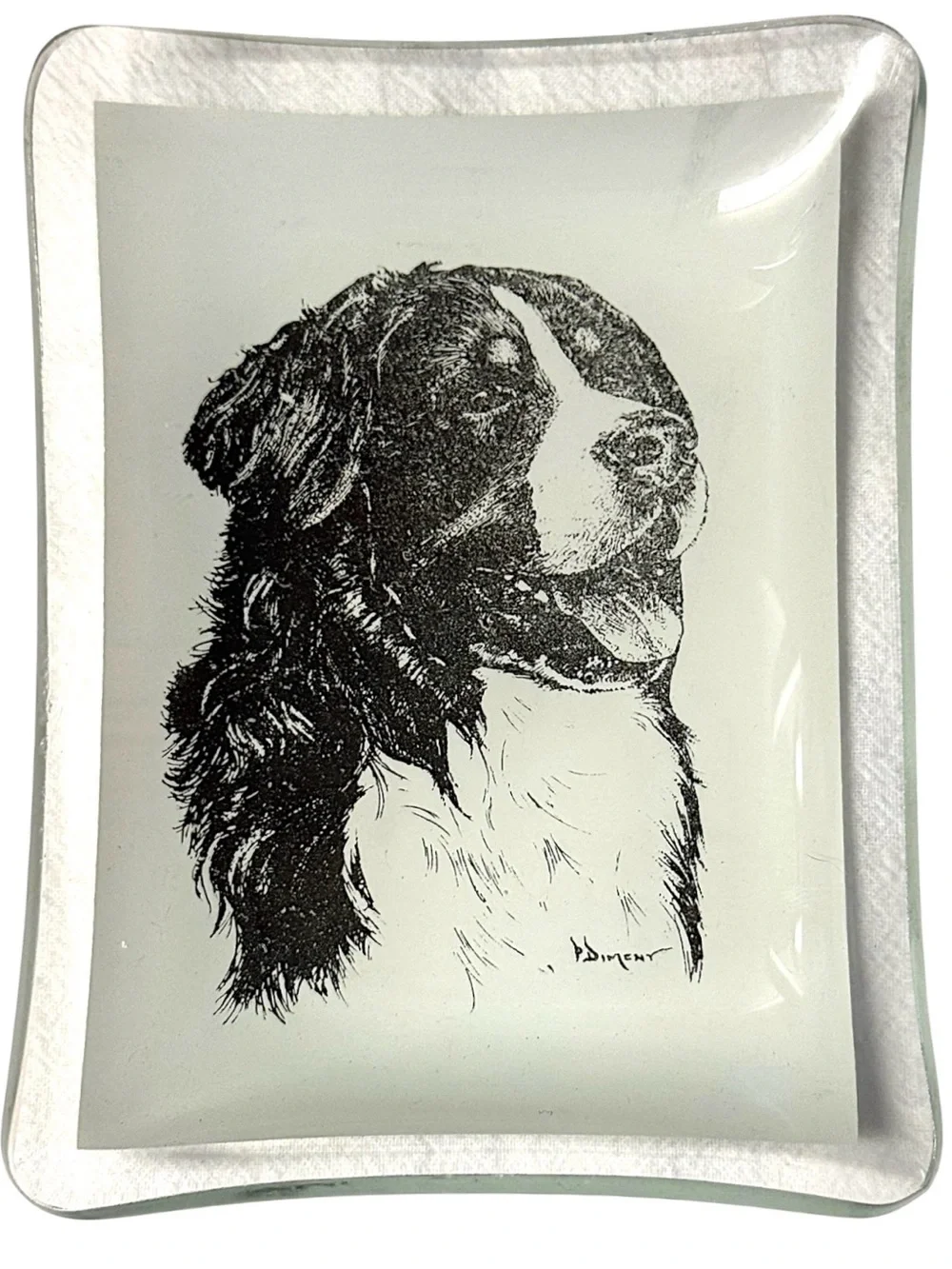 P. Dimeny 70’s Vintage Bernese Mountain Dog Portrait Glass Trinket Tray